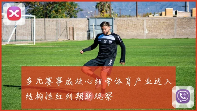 多元赛事成核心纽带体育产业迈入结构性红利期新观察